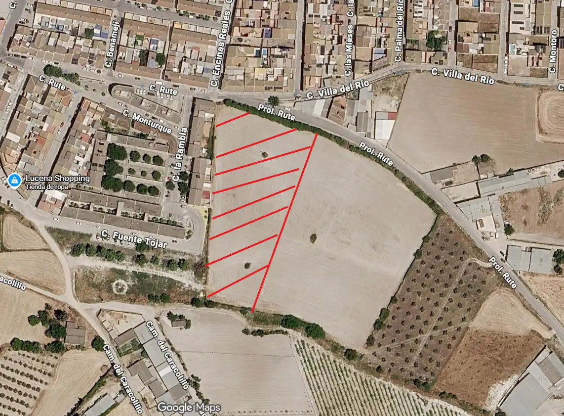 Land for sale in Lucena