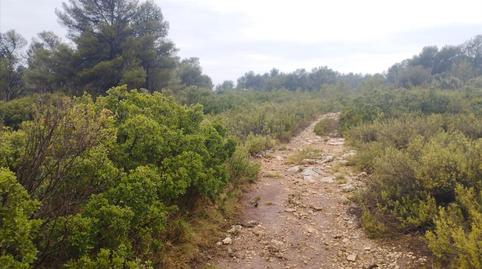 Foto 4 von Residential zum Verkauf in Cumbres Valencia, 2, Mogente / Moixent, Valencia