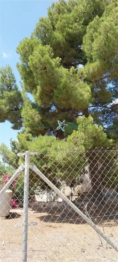 Maison avec jardin à vendre à Alhama de Murcia ciudad, imagen 15