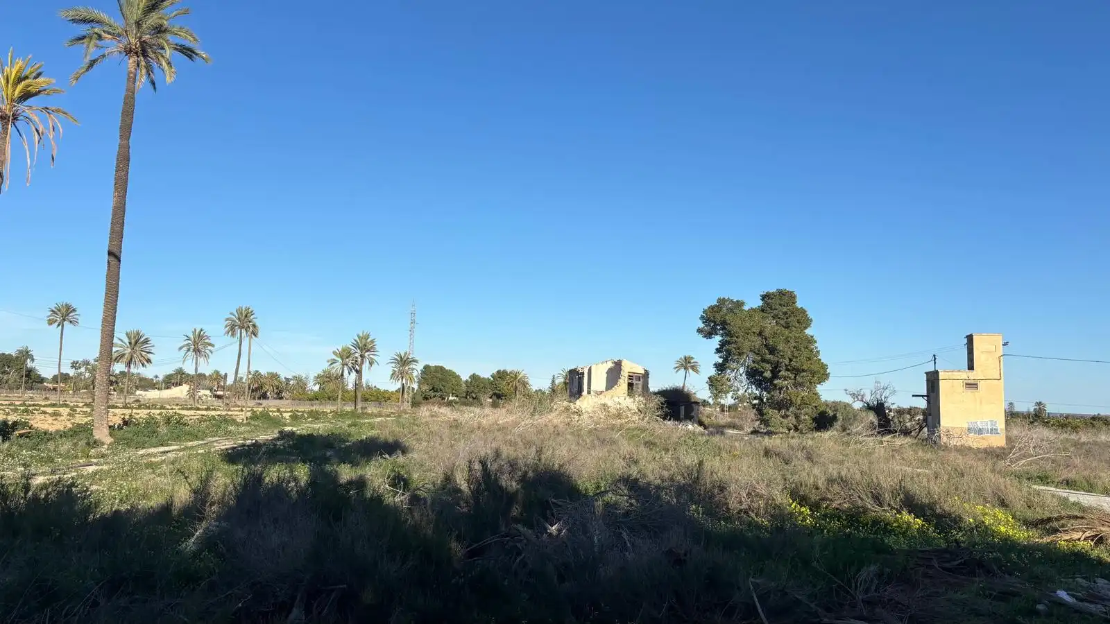 Grundstücke zum Verkauf in Elche / Elx