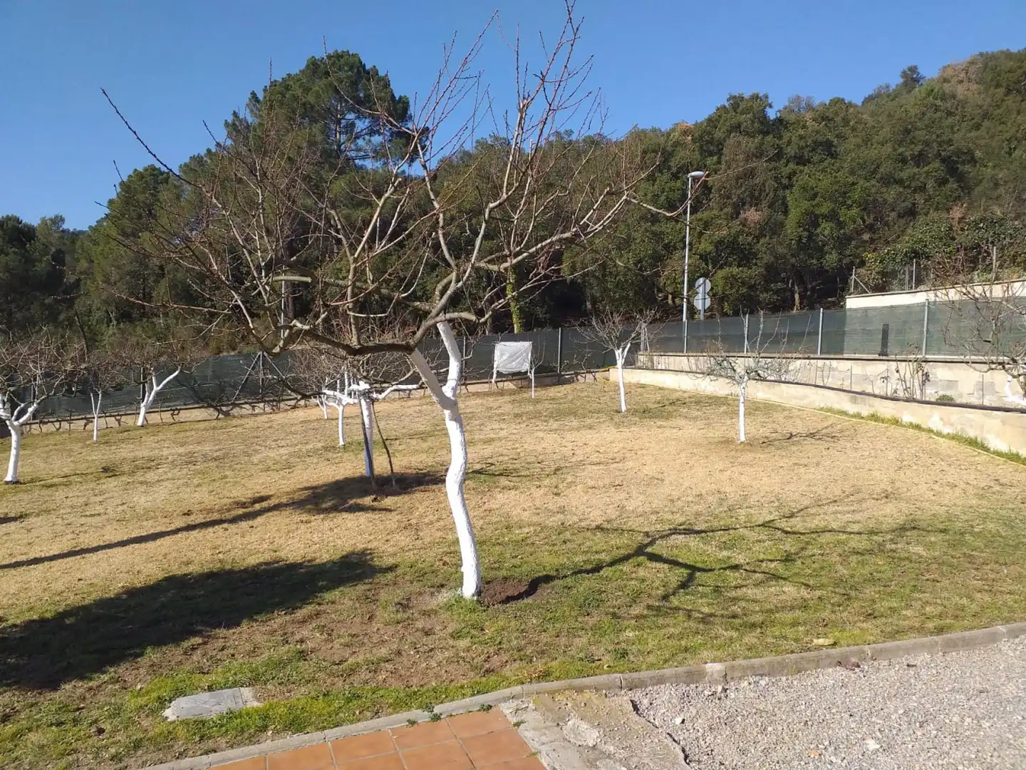 Villa mit Garten zum Verkauf in Sant Feliu de Buixalleu, imagen 26