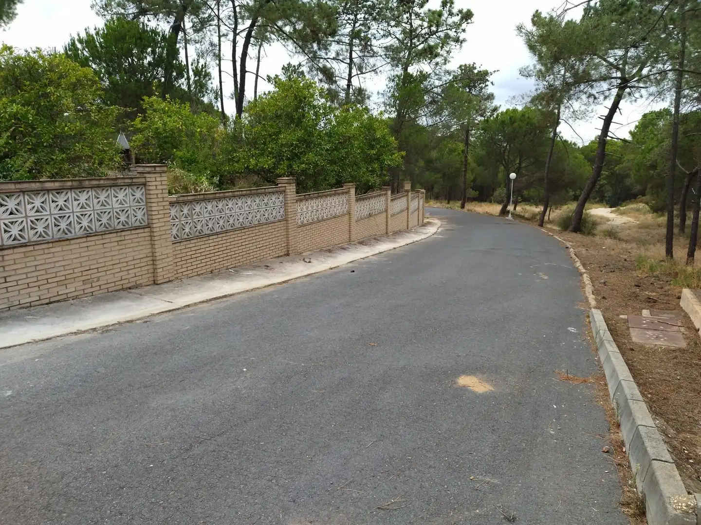 Terreni e lotti in vendita a Urbanizacion Urbanización Pinar de la Bota 27, imagen 6