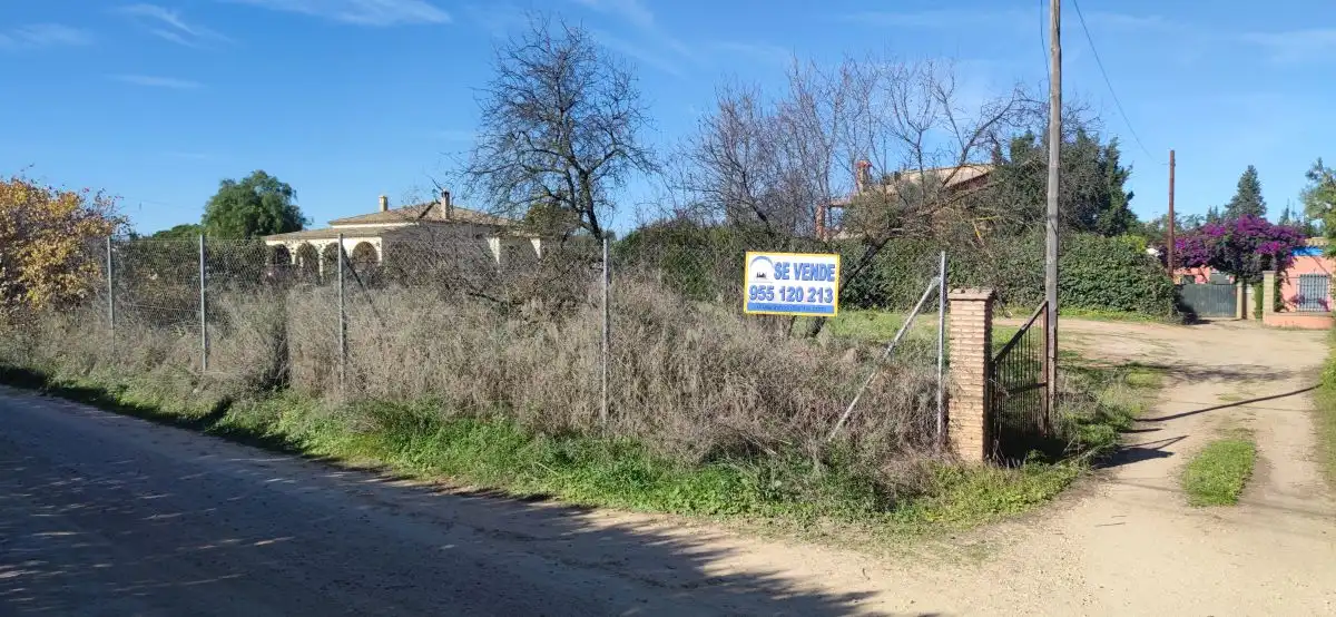 Terreni e lotti in vendita a SANLUCAR 3