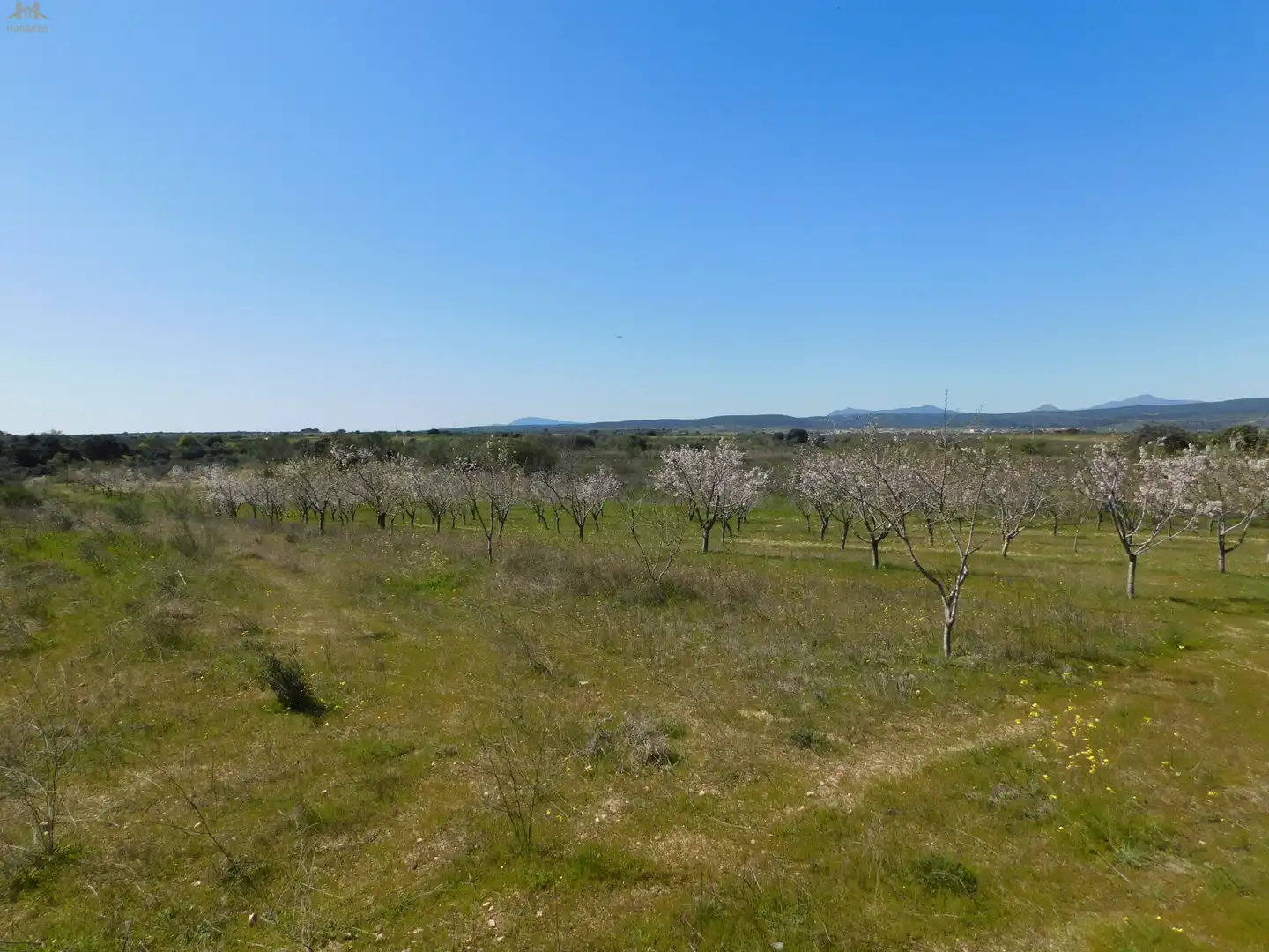 Terreno en venta en Villa del Prado