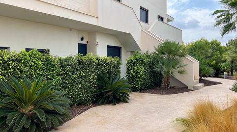 Foto 2 de Pis de lloguer a El Pinar de Campoverde, Alicante