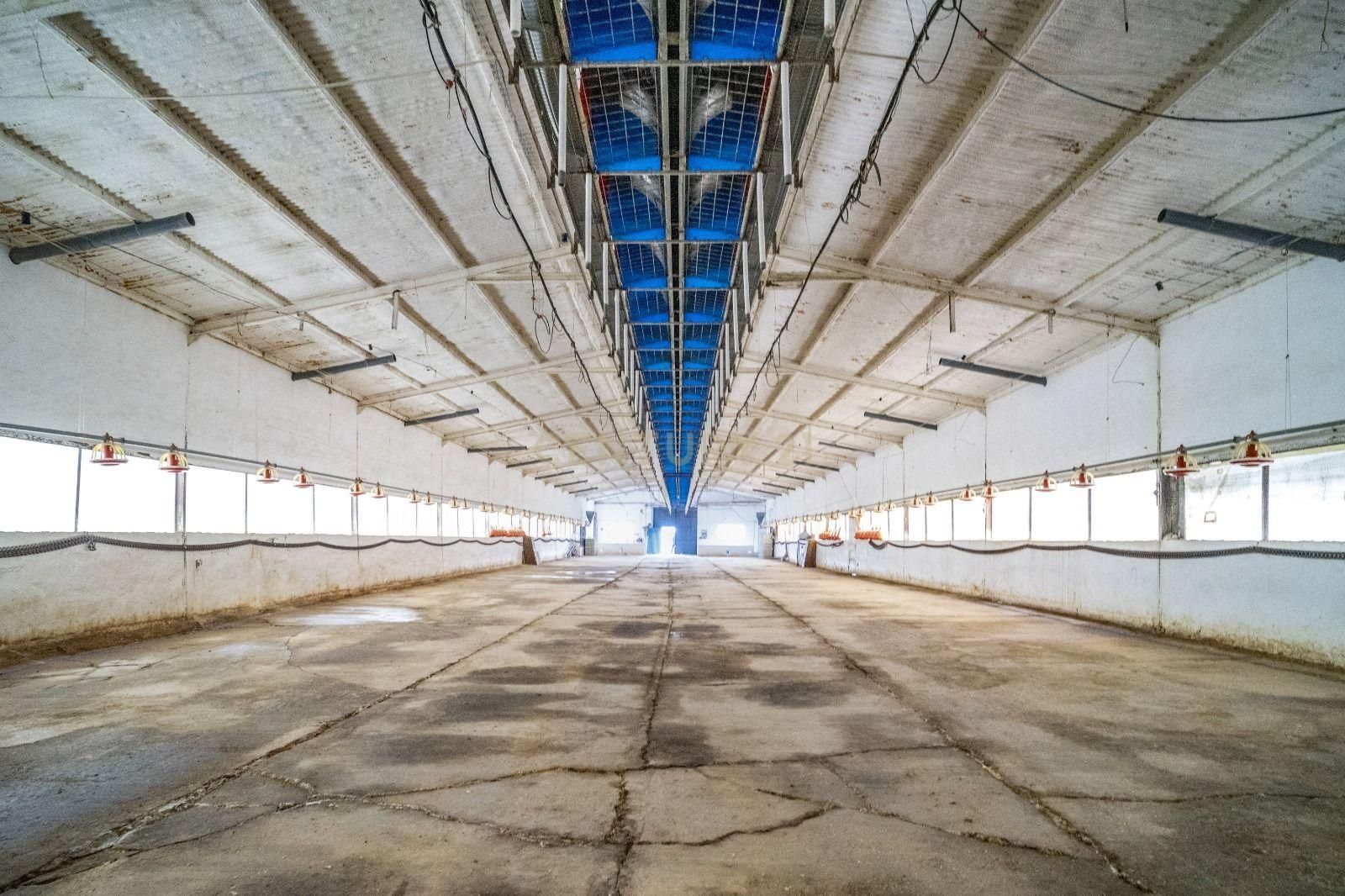 Premises for sale in PL UE-13 PARAJE VENTORRILLO 68MOLLINA (MÁLAGA), -1, Mollina