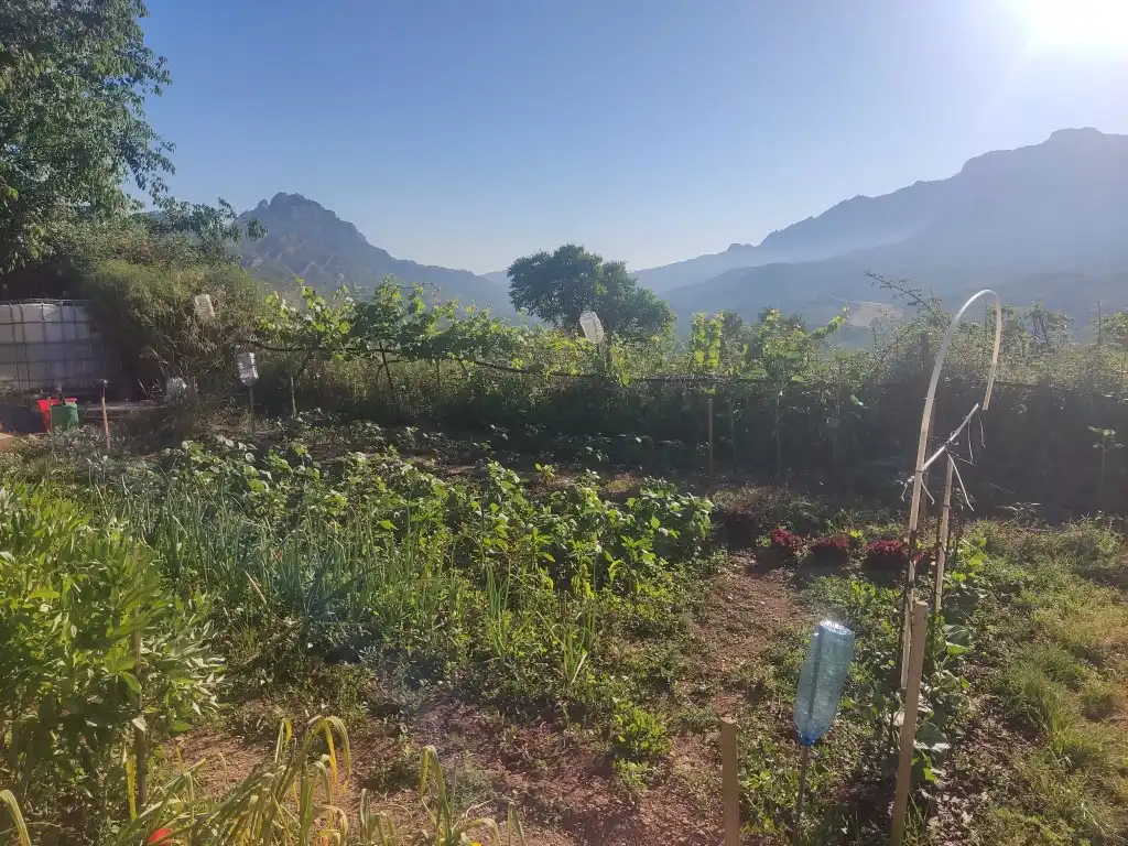Rural land for sale in Horta de Sant Joan, imagen 12