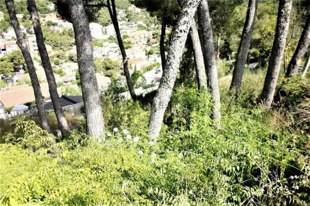 Terreno en Venta en el Greco en Mas Trader - Corral d'En Tort - Corral d'En Cona