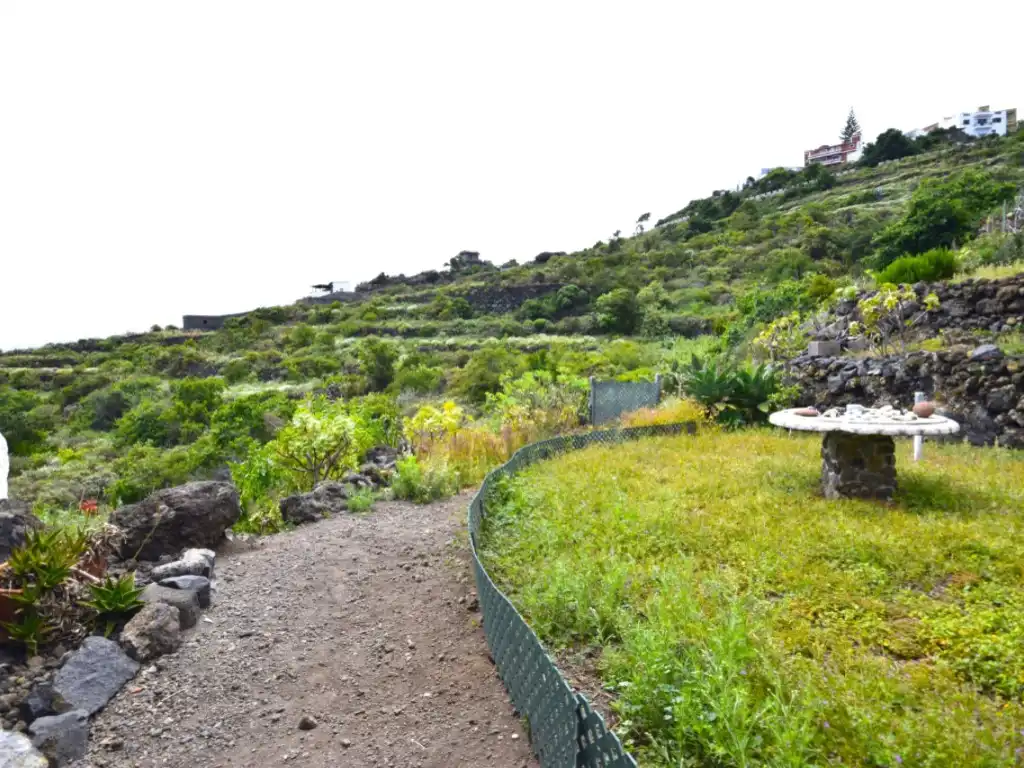 Jardí de Finca rústica en venda en Garachico