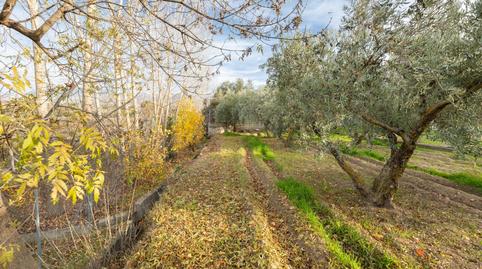 Foto 4 de Finca rústica en venda a Villa de Otura, Granada
