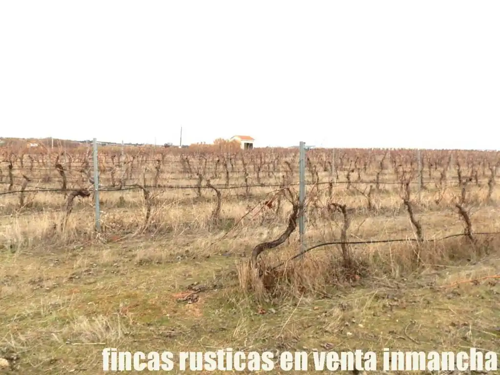 Terreni e lotti in vendita a Sonseca, imagen 16
