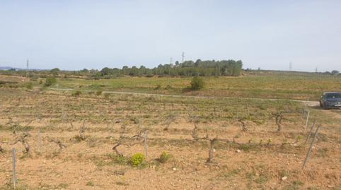 Foto 3 de Finca rústica en venda a Renau, Tarragona
