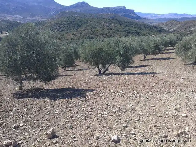 Lands and plots for sale in Bobadilla - Bobadilla Estación - La Joya, imagen 14