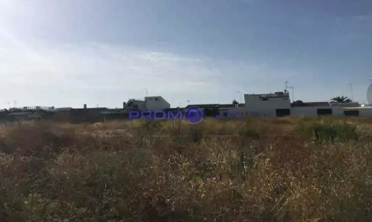 Terrenos y solares en venta en Lirio, imagen 2