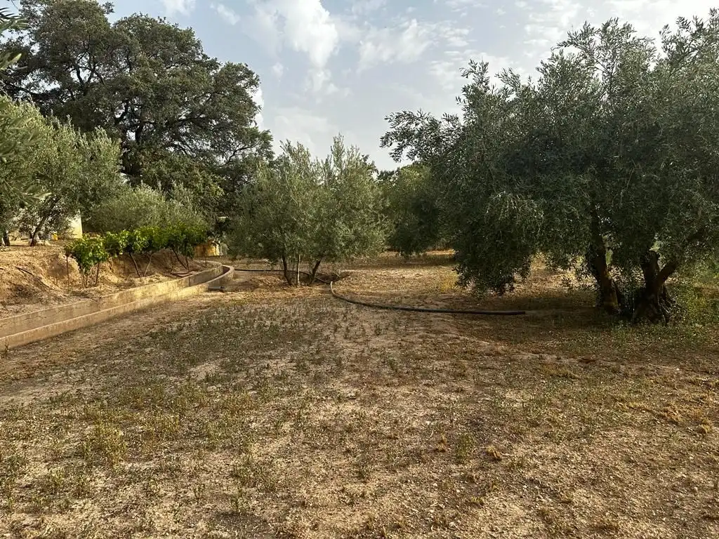 Terrain rustique à vendre à Peligros, imagen 4