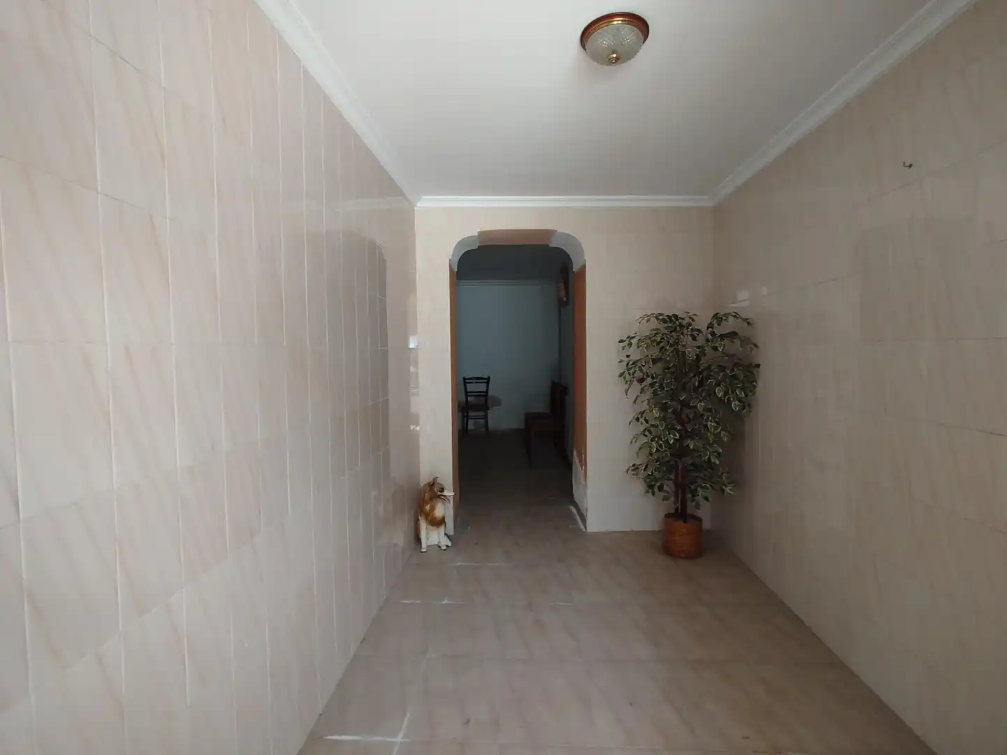 Terreni e lotti in vendita a La Roda