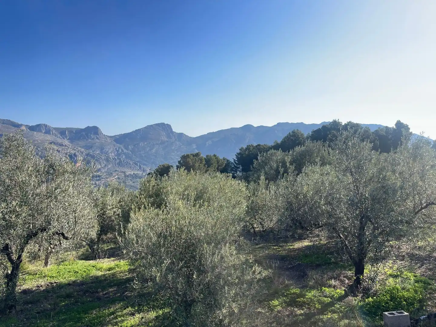 Terrenys i solars en venda a Benifato, imagen 6