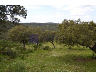 Finca rústica en venda en Don Benito