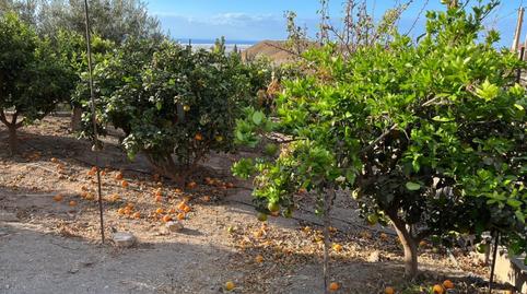 Foto 3 de Finca rústica en venda a La Mojonera, Almería