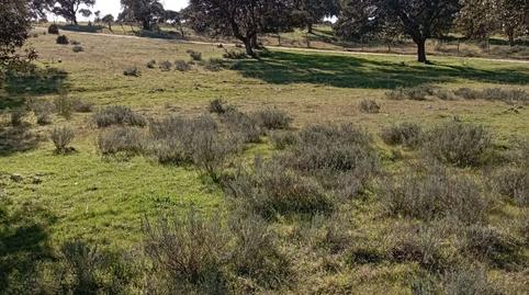 Photo 5 of Country house for sale in San Román de los Montes, Toledo