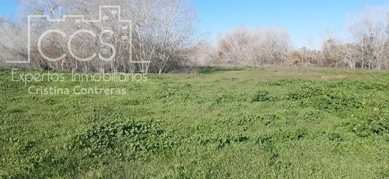 Terreni e lotti in vendita a Almonte ciudad, imagen 10