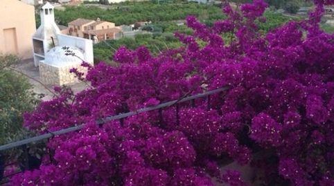 Foto 3 de Casa o chalet en venta en Blanca, Murcia
