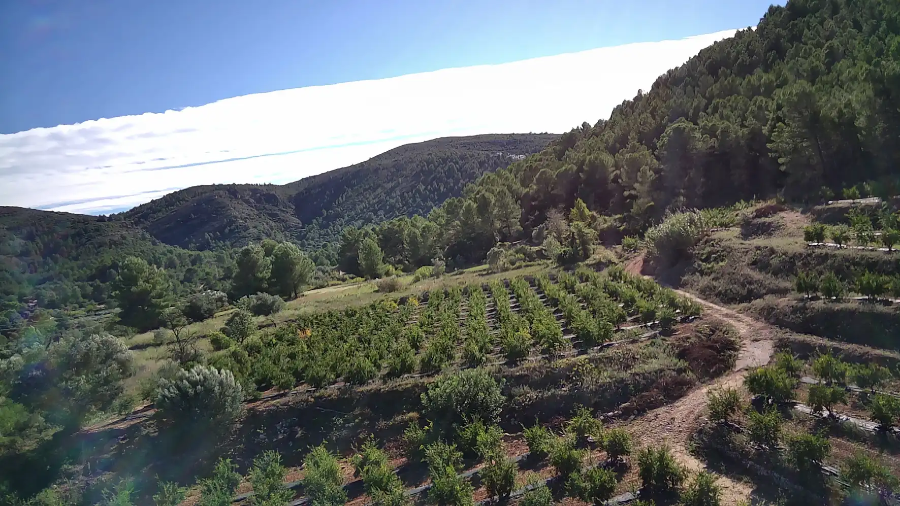 Terreno residenziale in vendita a Calles, imagen 3