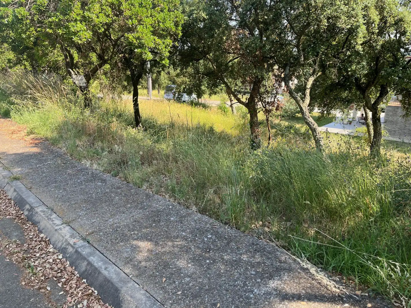 Terrain résidentiel à vendre à Urbanizacion Mas Llunes 1816, imagen 4