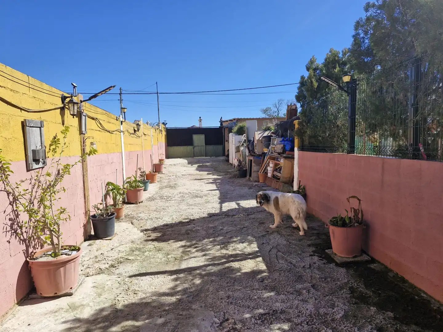 Terreni e lotti in vendita a El Zabal - Santa Margarita, imagen 19