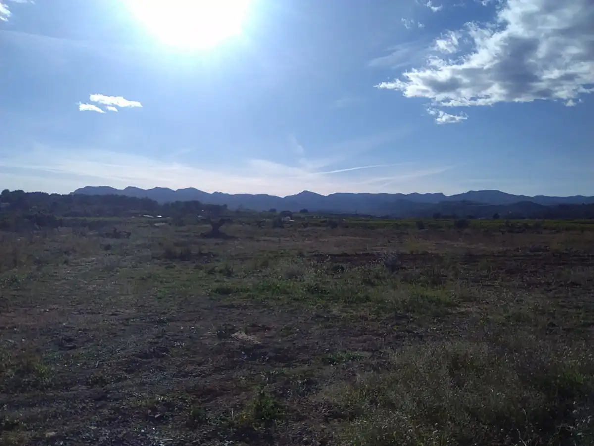 Terreno rústico en venta en Alfara de la Baronia, imagen 8