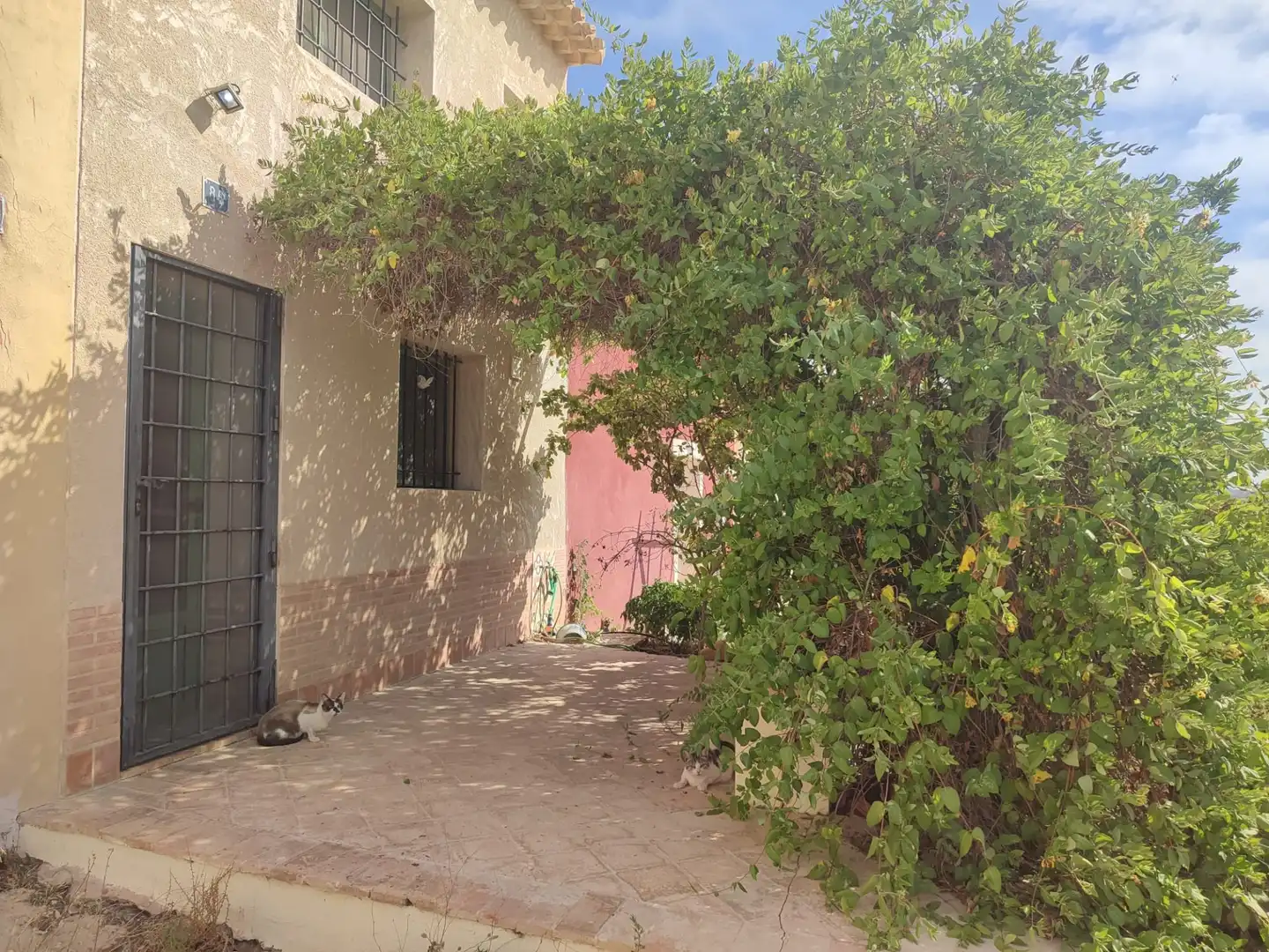Casa aparellada amb jardí en venda a El Pinós / Pinoso, imagen 3