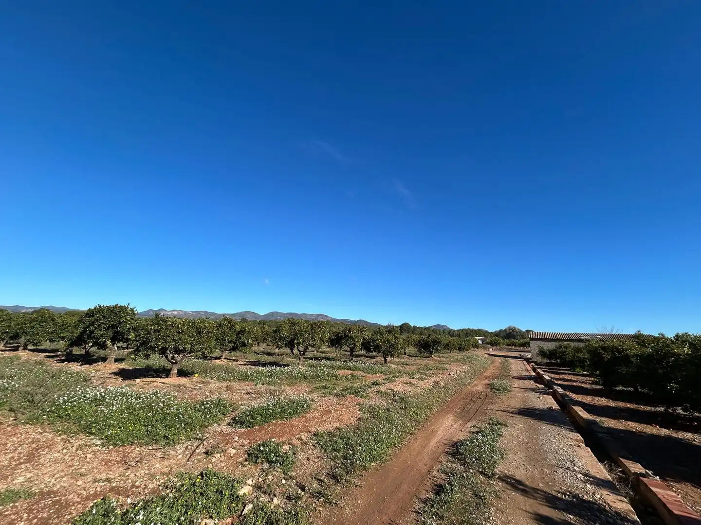 Terreno rustico in vendita a Camí de Paterna - Lloma del Calderer, imagen 5