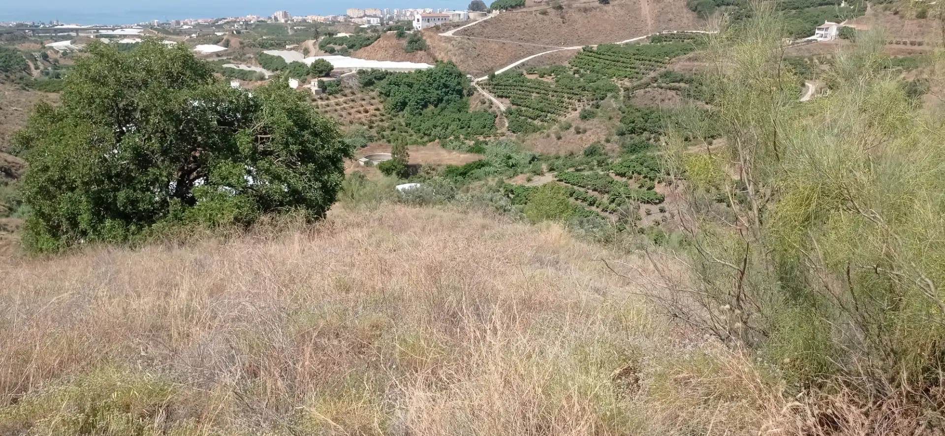 Terreny en venda en Vélez-Málaga