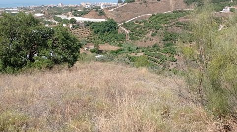 Foto 4 de Terreny en venda a N/a, -1, Lagos, Vélez-Málaga