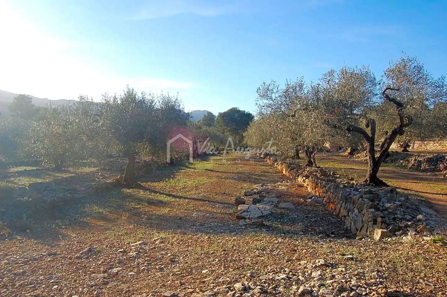 Terreno rustico in vendita a Burgà, imagen 4