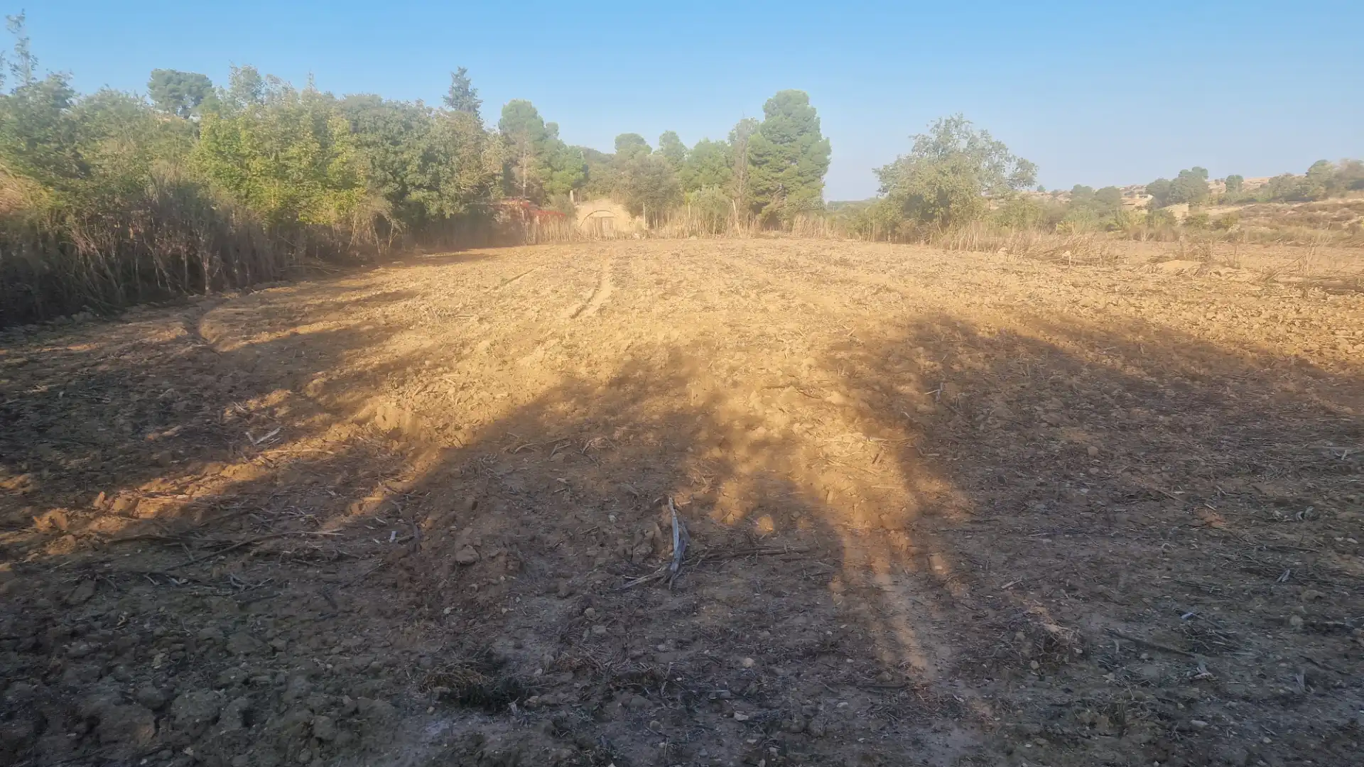 Rural land for sale in Arbeca, imagen 18
