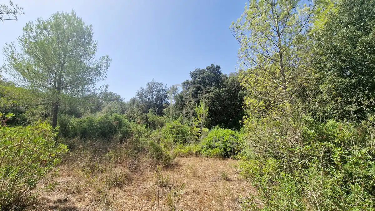 Terreny residencial en venda a Artà Poble, imagen 3