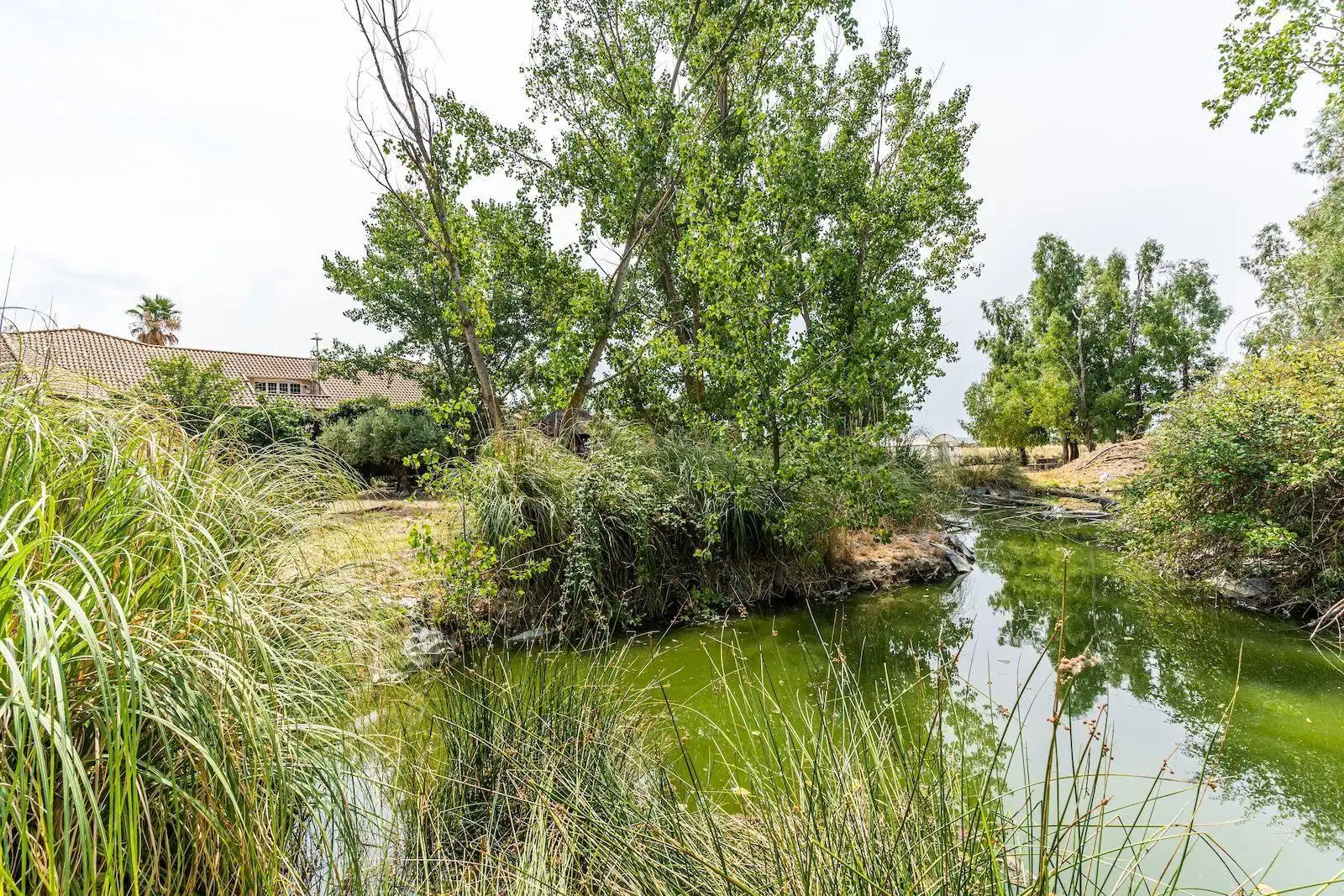 Casa o chalet en venta en Fuente El Saz de Jarama con Aire acondicionado, Calefacción y Piscina