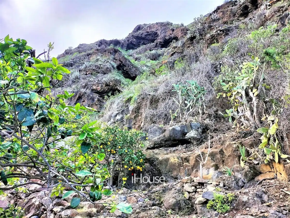 Terreno en venta en PUNTA DE TENO, Buenavista del Norte