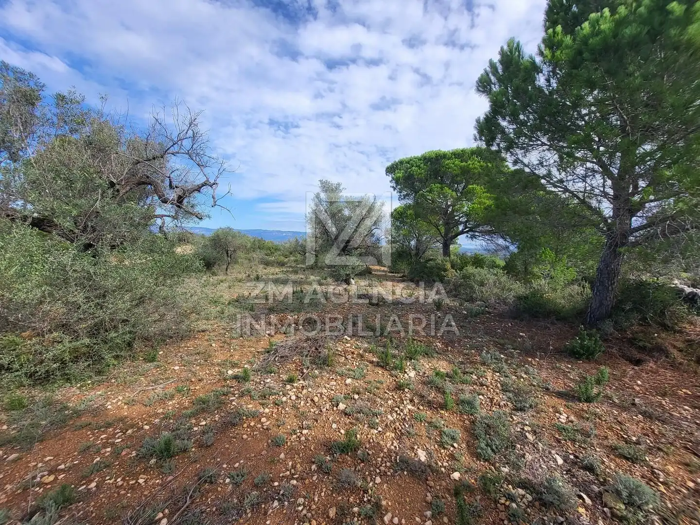 Casa rústica en venta en Traiguera, imagen 2