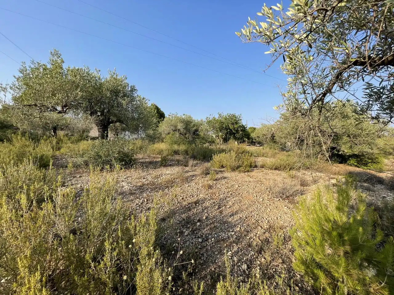 Terreno rustico in vendita a Partida Estany Tort, imagen 7