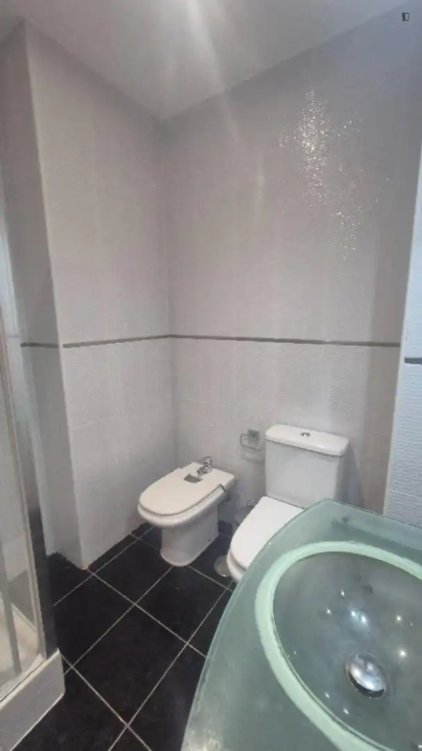Bathroom of Apartments for rent in Madrid  with Air Conditioner, Heating and Furnished