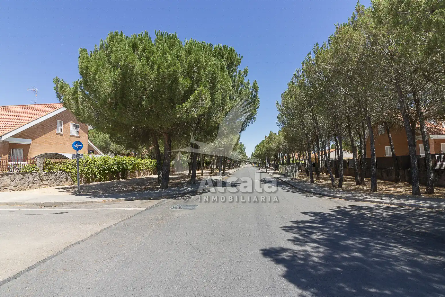 Vista exterior de Casa o chalet en venta en Pioz con Calefacción