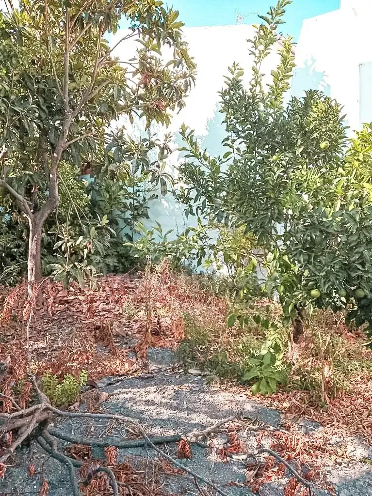 Casa o xalet en venda en El Burgo amb Jardí privat i Terrassa