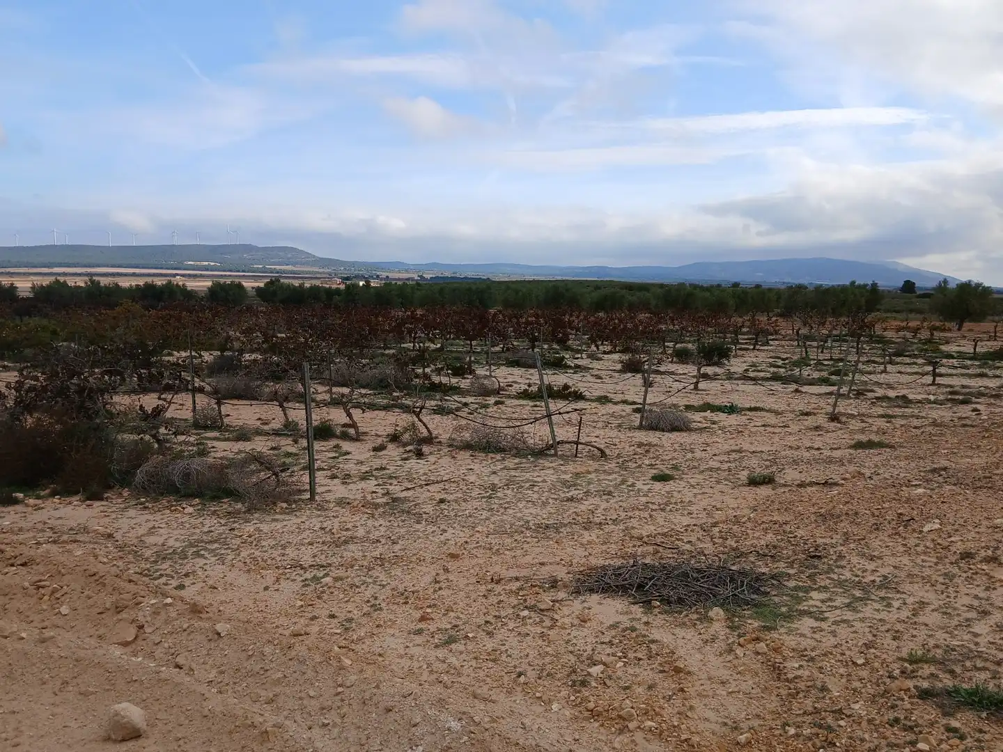 Residential land for sale in Yecla, imagen 10