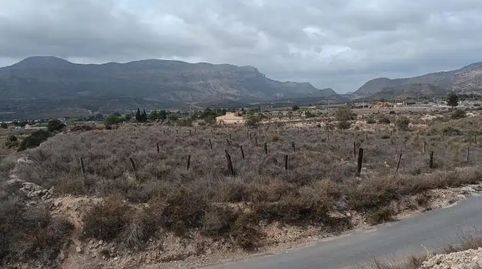 Foto 5 de Finca rústica en venda a Partida Sarganella, 140, Agost, Alicante
