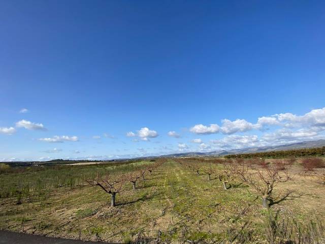 Terreno en Venta en Montitxelvo / Montichelvo