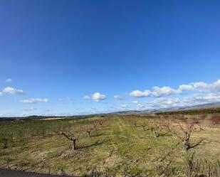 Land for sale in Montitxelvo / Montichelvo