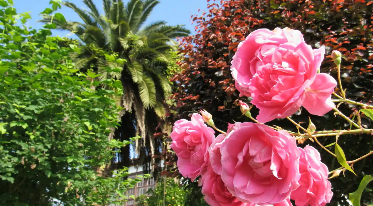 Jardí de Finca rústica en venda en Pravia amb Calefacció, Jardí privat i Parquet
