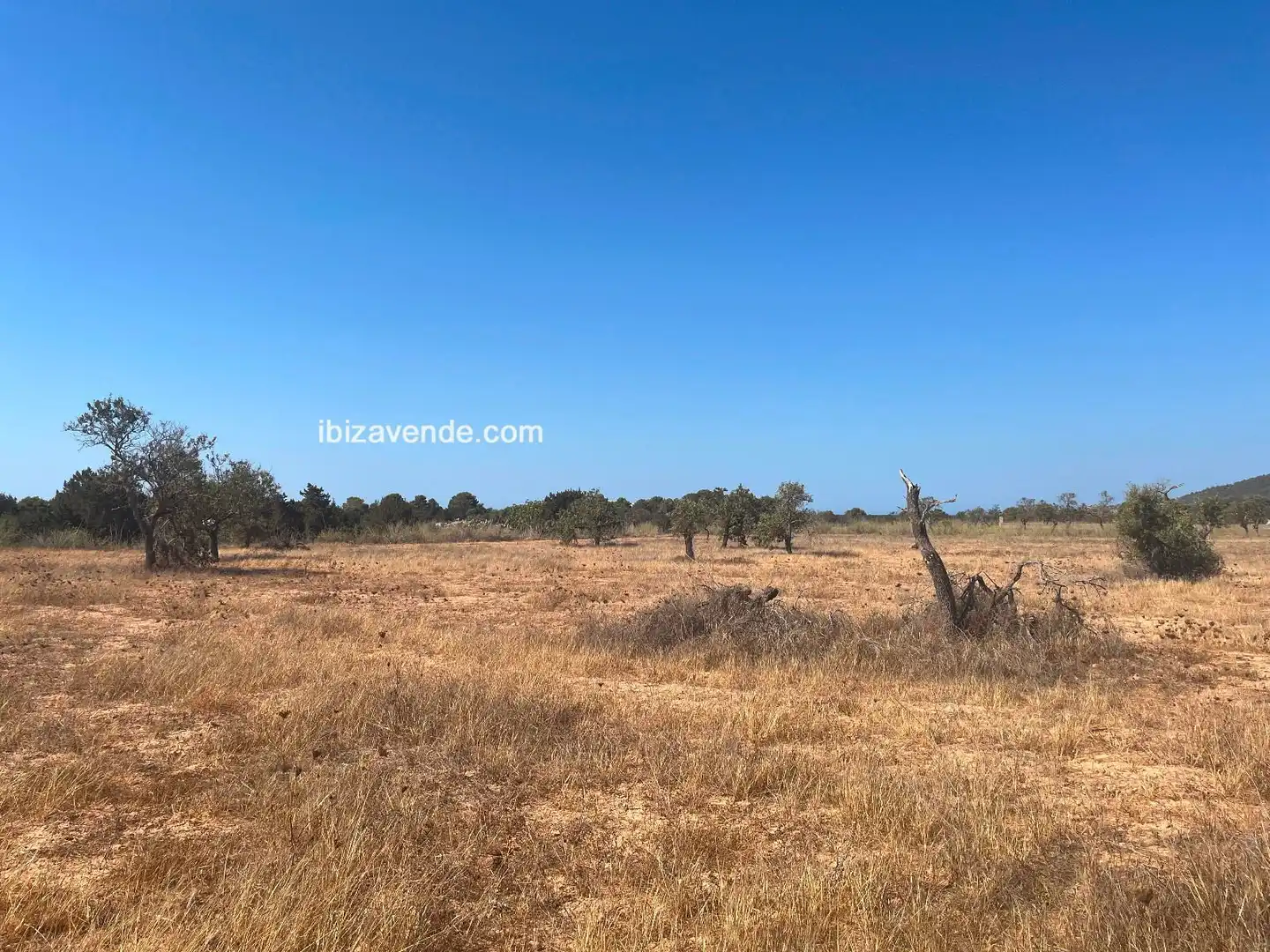 Land for sale in Diseminado de Sa Caleta, Sant Jordi de Ses Salines - Sant Francesc